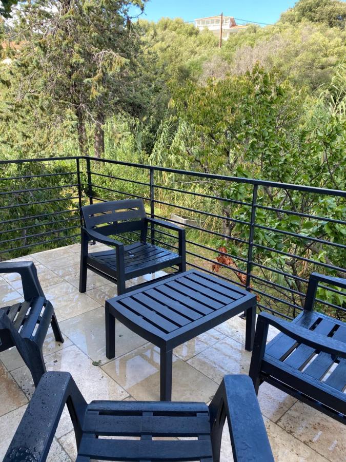Home Sweet Home 2 Pieces 42 M2 Chambre, Salon, Cuisine, Grande Terrasse, Parking Proche Centre Ville Et Mer Bastia  Exterior photo