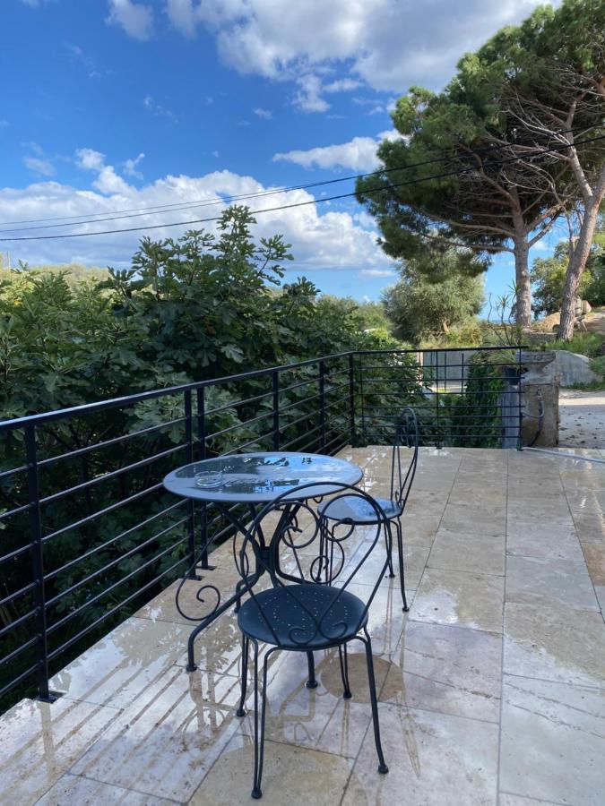 Home Sweet Home 2 Pieces 42 M2 Chambre, Salon, Cuisine, Grande Terrasse, Parking Proche Centre Ville Et Mer Bastia  Exterior photo